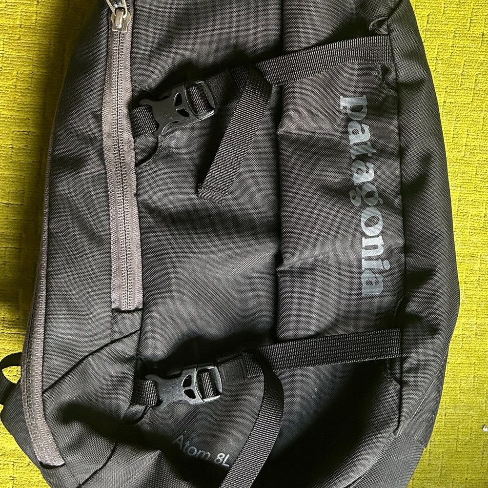 Patagonia Sling Bag